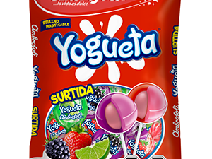 yogueta surtida x15